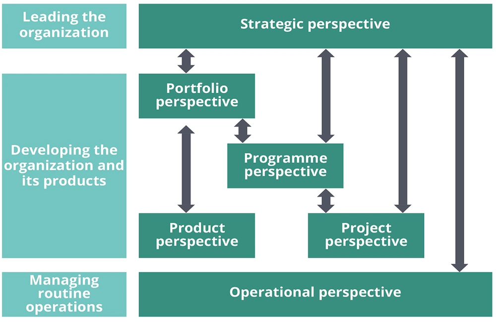PRINCE2 Risk Management Perspectives