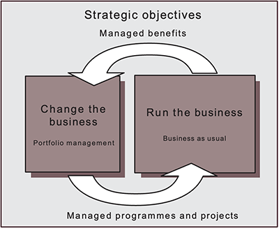 Portfolio, Programme and Project Management (PPM) and Business As Usual (BAU)