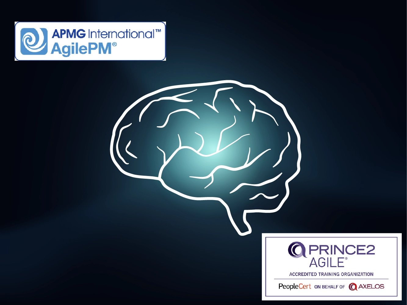 Prince2-Agile-or-AgilePM.webp